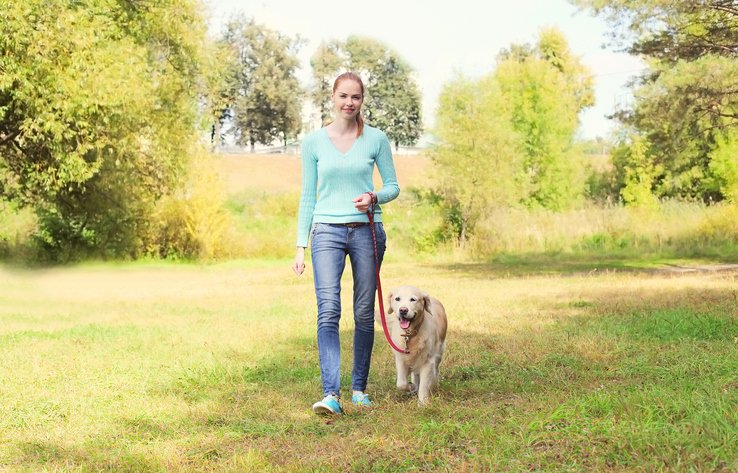 Walk your dog in clean air environments