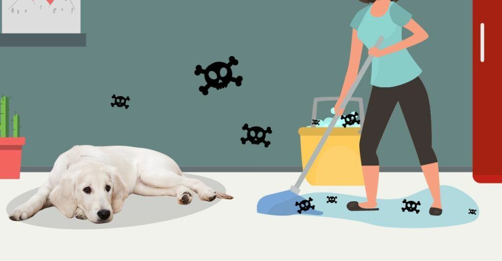 household chemicals harmful to dogs