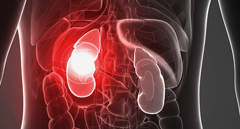 health impact of mercury on the kidneys