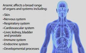 health impact of arsenic