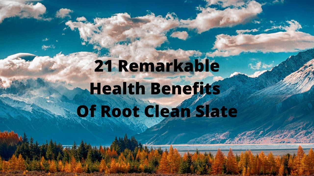 clean slate by root wellness