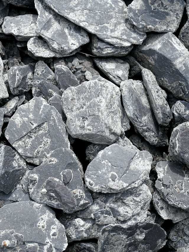 5 Reasons You Should Choose Zeolite Over Charcoal