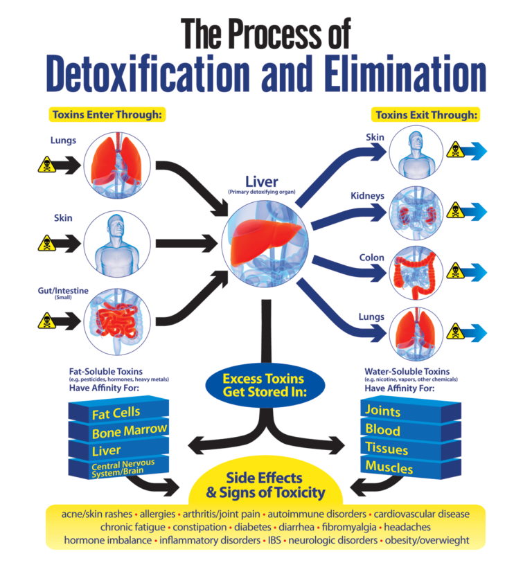 heavy metal detoxification